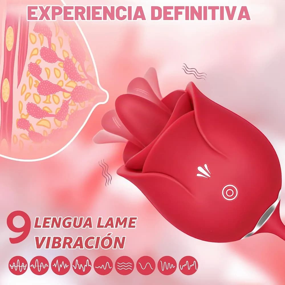 Imagen del producto 4